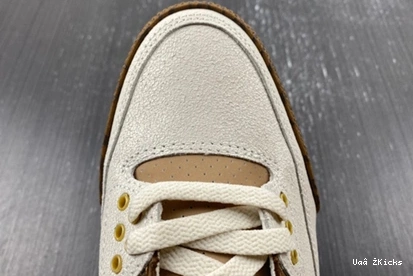 Air 379 StreetReady 3 “Palomino” 9353 CT8532- Jordan 0811